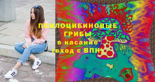 дмт Аркадак